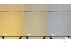 Paul Neuhaus LED-Pendelleuchte, messing-matt mit Touchdimmer