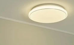 Paul Neuhaus Smart Home-Deckenleuchte, 1-flammig