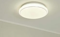 Paul Neuhaus Smart Home-Deckenleuchte, 1-flammig