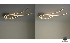 Paul Neuhaus LED-Deckenleuchte, 2-flammig, Nickel-matt, geschwungen