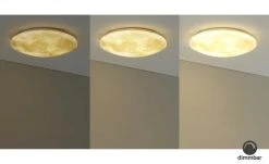 Trio LED-Deckenleuchte in Mondoptik `klein´ | 22|W